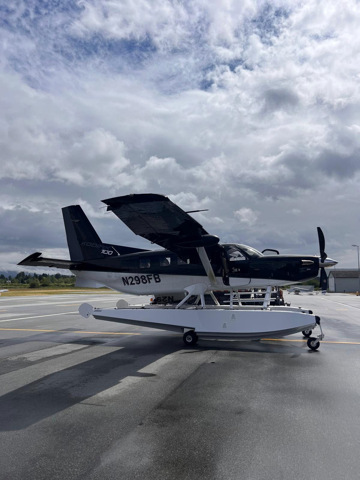 DAHER KODIAK 100 SERIES III photo 2